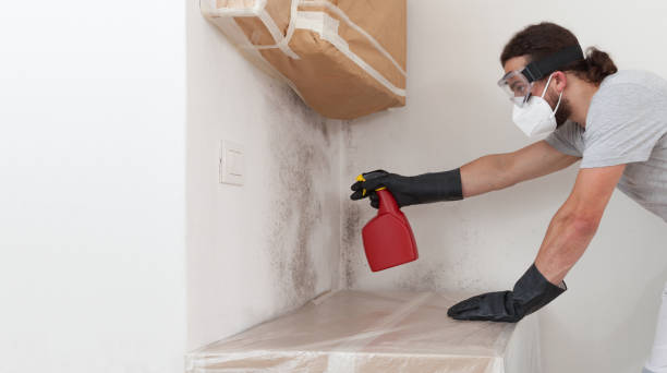 Professional Mold Inspection And Testing technician working in Clear Brook, VA
